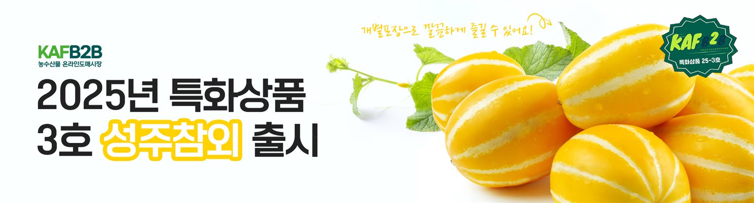 배너 이미지 2